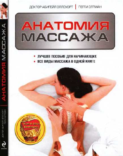 Анатомия массажа (fb2)