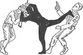 Сокрушительная боевая техника ниндзютсу. Виктор Попенко. Иллюстрация 92