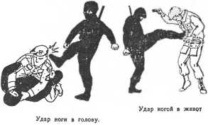 Сокрушительная боевая техника ниндзютсу. Виктор Попенко. Иллюстрация 94