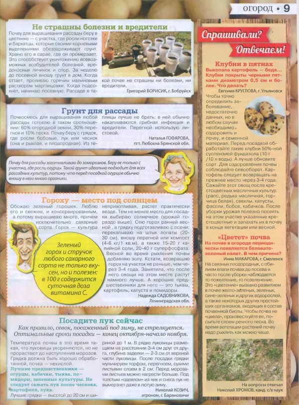 КулЛиб.   журнал Сваты на даче - Сваты на даче 2015 №9(09). Страница № 8