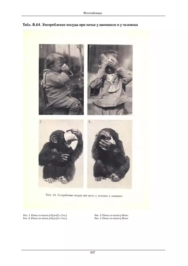 КулЛиб. Надежда Николаевна Ладыгина-Котс -  Дитя шимпанзе и дитя человека в их инстинктах, эмоциях, играх, привычках и выразительных движениях. Страница № 439