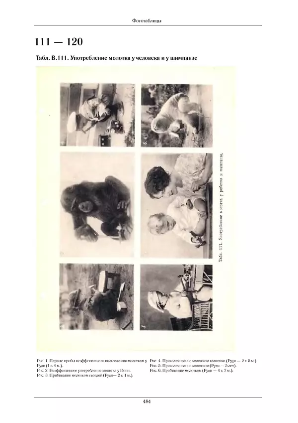 КулЛиб. Надежда Николаевна Ладыгина-Котс -  Дитя шимпанзе и дитя человека в их инстинктах, эмоциях, играх, привычках и выразительных движениях. Страница № 486