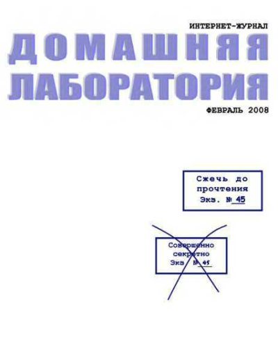 Интернет-журнал "Домашняя лаборатория", 2008 №2 (fb2)