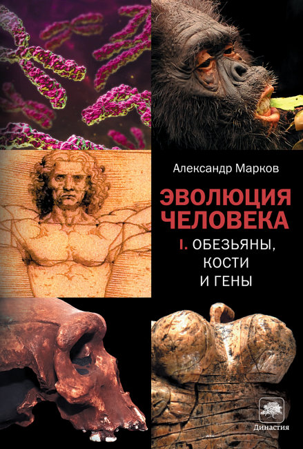 Эволюция человека. Книга 1. Обезьяны, кости и гены (fb2)