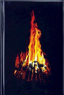 666 градусов по Фаренгейту (температура, при которой горит ведьма) (fb2)