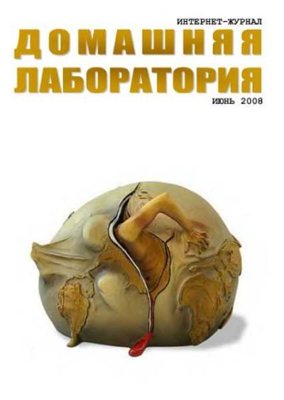 Интернет-журнал "Домашняя лаборатория", 2008 №6 (fb2)