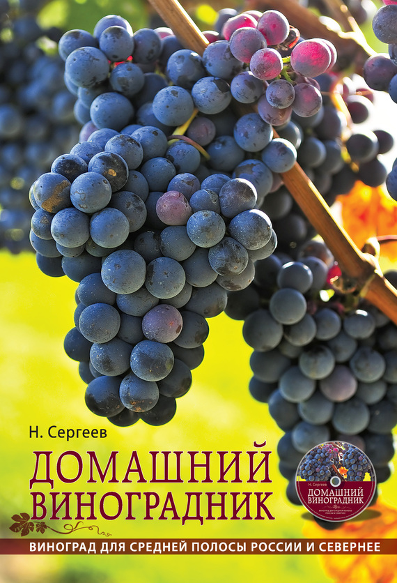 Домашний виноградник (fb2)