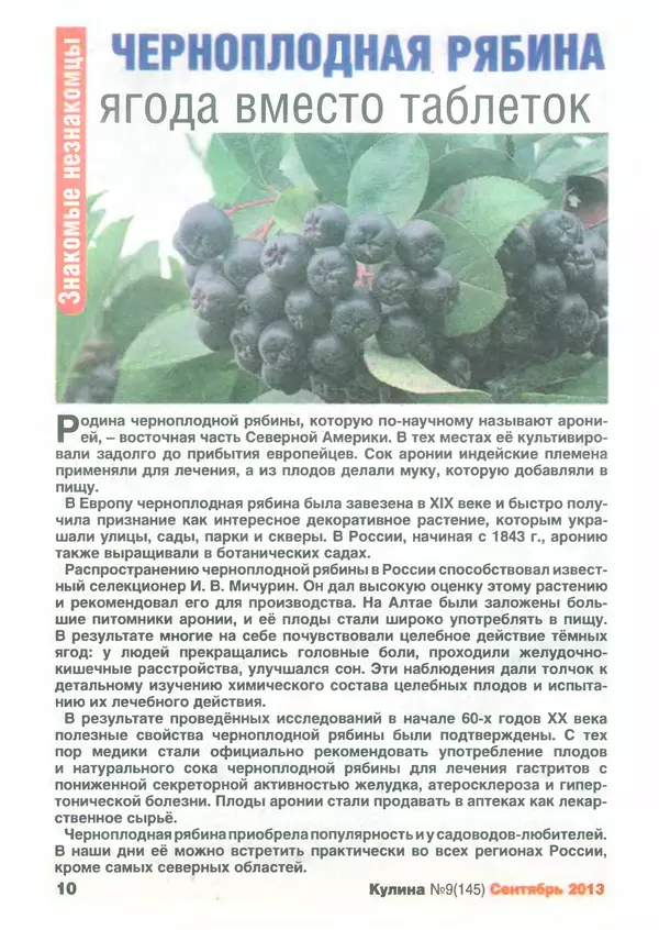 КулЛиб.   журнал «Кулина» - Кулина 2013 №9(145). Страница № 11