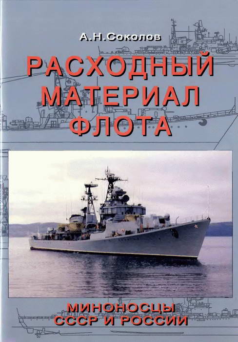 Расходный материал флота. Миноносцы СССР и России (fb2)