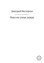 Книга - Дмитрий  Нестерчук - Пока на улице дождь - читать