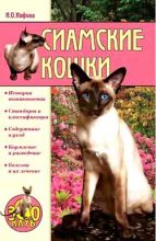 Книга - Ирина Олеговна Иофина - Сиамские кошки - читать