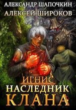 Книга - Александр Игоревич Шапочкин - Наследник клана - читать