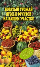 Книга - Ирина  Муртазина - Богатый урожай ягод и фруктов на вашем участке. В помощь любимым садоводам! - читать