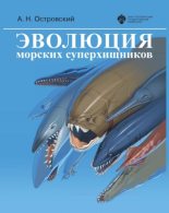 Книга - Андрей Николаевич Островский - Эволюция морских суперхищников - читать