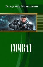 Книга - Владимир  Колышкин - Combat - читать