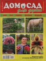 Книга -   журнал Дом и сад для души - Дом и сад для души 2011 №11(47) - читать