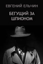Книга - Евгений  Ельчин - Бегущий за шпионом - читать