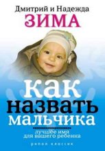 Книга - Дмитрий  Зима - Как назвать мальчика. Лучшее имя для вашего ребенка - читать