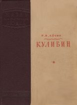Книга - Николай Иванович Кочин - Кулибин - читать