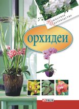 Книга - Мария Павловна Згурская - Орхидеи - читать