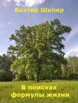 Книга - Виктор Львович Шкляр - В поисках формулы жизни - читать