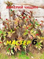 Книга - Валерий  Чащин - Мастер 6 - читать