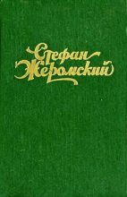 Книга - Стефан  Жеромский - Верная река - читать