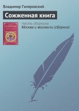 Книга - Владимир Алексеевич Гиляровский - Сожженная книга - читать