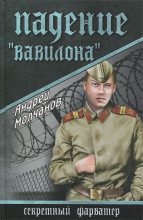 Книга - Андрей Алексеевич Молчанов - Падение «Вавилона» - читать