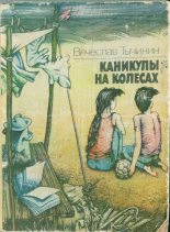 Книга - Вячеслав Васильевич Тычинин - Каникулы на колесах - читать