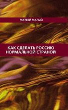Книга - Матвей  Малый - Как сделать Россию нормальной страной - читать