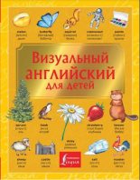 Книга - Виктория Александровна Державина - Визуальный английский для детей - читать