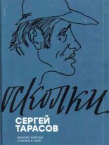 Книга - Сергей Сергеевич Тарасов - Осколки - читать