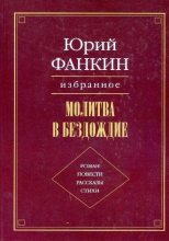 Книга - Юрий Александрович Фанкин - Очищение огнём - читать