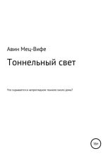 Книга -   Авин Мец-Вифе - Тоннельный свет - читать