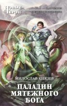 Книга - Милослав  Князев - Паладин мятежного бога (СИ) - читать