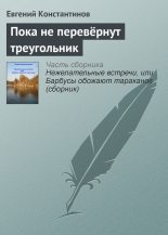 Книга - Евгений Михайлович Константинов - Пока не перевёрнут треугольник - читать
