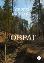 Книга - Сергей Геннадьевич Байбаков - Овраг - читать