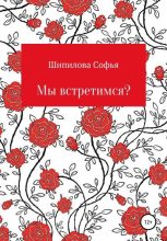 Книга - Софья Юрьевна Шипилова - Мы встретимся? - читать