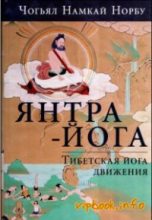 Книга - Намкай Норбу Ринпоче - Введение в янтра-йогу - читать