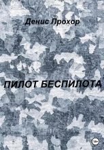 Книга - Денис Викторович Прохор - Пилот беспилота - читать