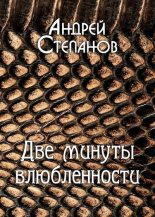 Книга - Андрей Валерьевич Степанов - Две минуты влюбленности - читать
