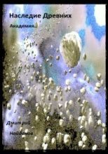 Книга - Дмитрий Александрович Найденов - Академия (СИ) - читать