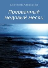 Книга - Александр Вячеславович Савченко - Прерванный медовый месяц - читать