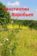 Книга - Константин Дмитриевич Воробьёв - Рассказы - читать
