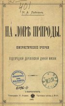 Книга - Николай Александрович Лейкин - При отъезде - читать
