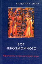 Книга - Владимир  Шали - Бог невозможного - читать