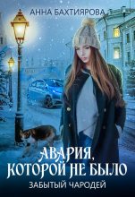 Книга - Анна  Бахтиярова - Забытый чародей. Авария, которой не было - читать