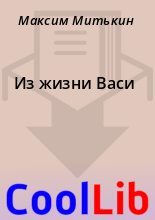 Книга - Максим  Митькин - Из жизни Васи - читать
