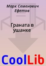 Книга - Марк Семенович Ефетов - Граната в ушанке - читать
